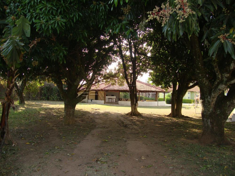 Comprar Casa / Chácara em Franca R$ 3.000.000,00 - Foto 23 Comprar Casa / Chácara em Franca R$ 3.000.000,00 - Foto 23