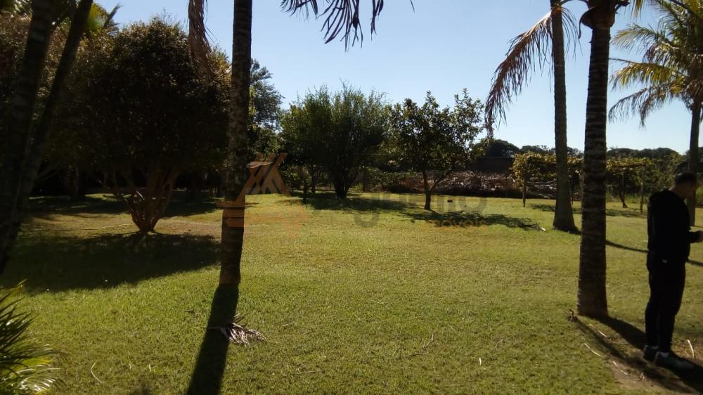 Comprar Casa / Chácara em Franca apenas R$ 3.150.000,00 - Foto 5 Comprar Casa / Chácara em Franca apenas R$ 3.150.000,00 - Foto 5