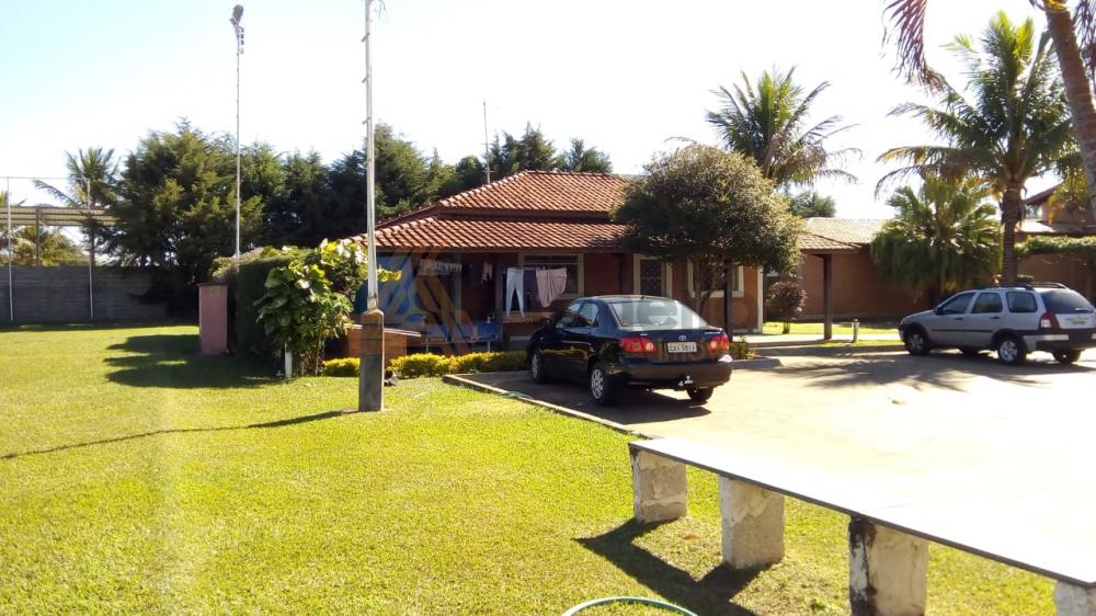 Comprar Casa / Chácara em Franca apenas R$ 3.150.000,00 - Foto 35 Comprar Casa / Chácara em Franca apenas R$ 3.150.000,00 - Foto 35