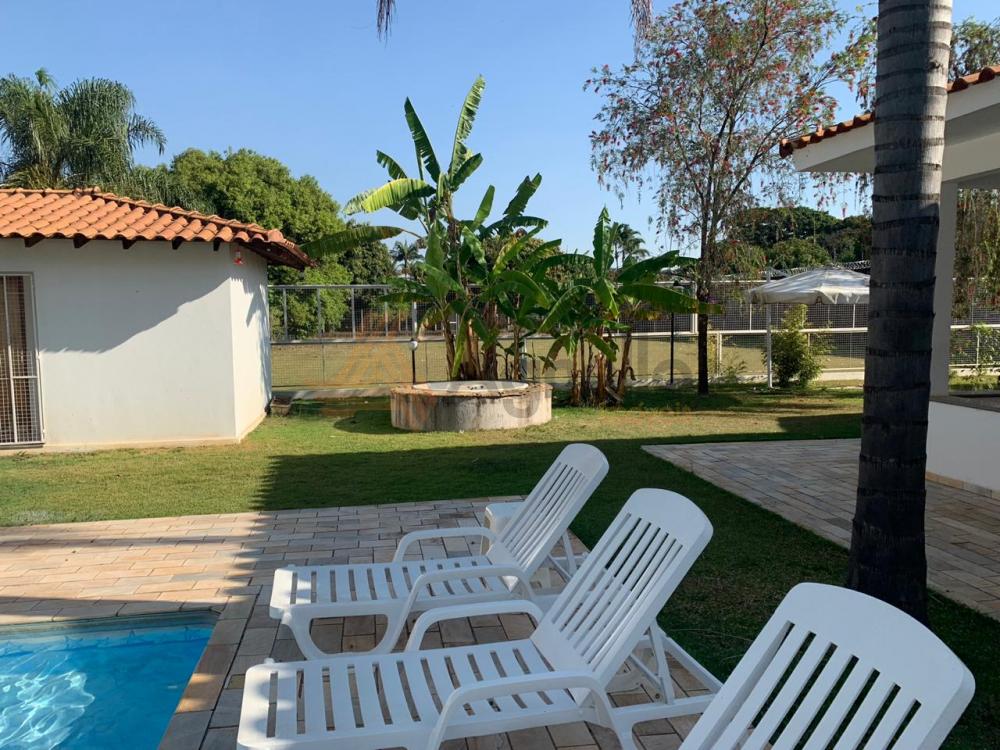 Comprar Casa / Chácara em Franca apenas R$ 730.000,00 - Foto 7 Comprar Casa / Chácara em Franca apenas R$ 730.000,00 - Foto 7