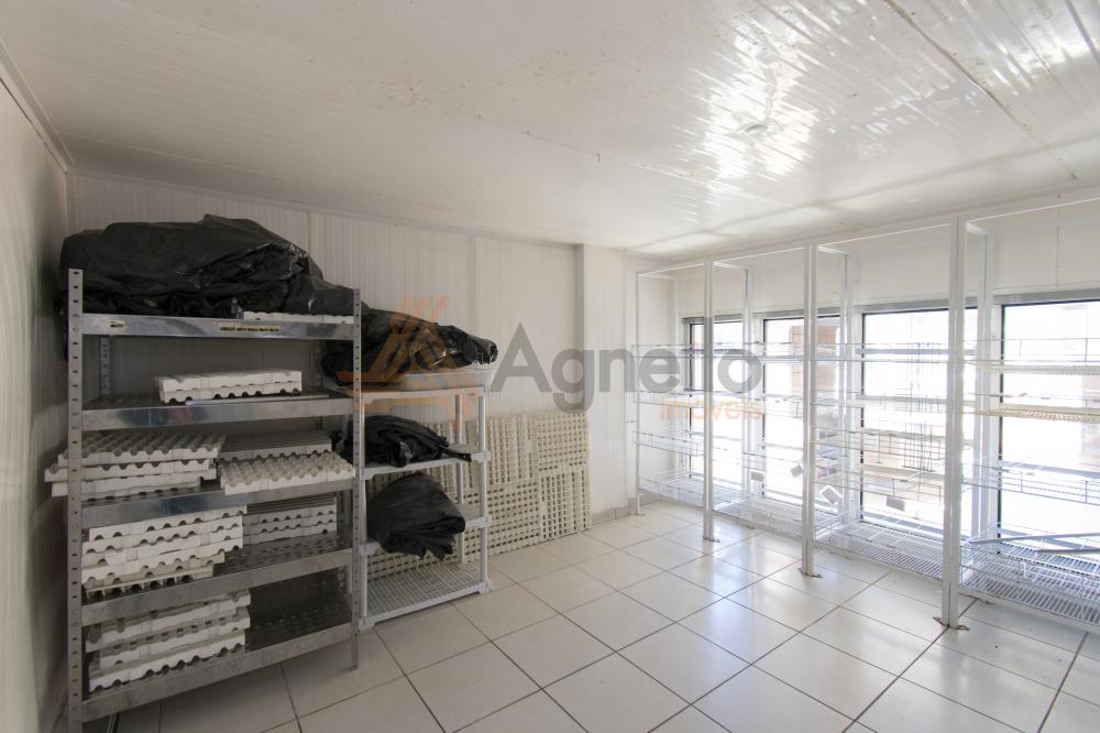 Alugar Comercial / Loja em Franca R$ 5.000,00 - Foto 9 Alugar Comercial / Loja em Franca R$ 5.000,00 - Foto 9