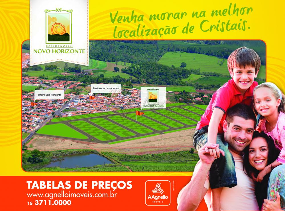 Comprar Terreno / Loteamento em Cristais Paulista R$ 140.000,00 - Foto 4