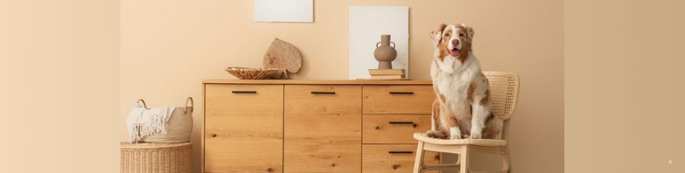 O novo conceito de lar: como os brasileiros esto mudando o jeito de morar