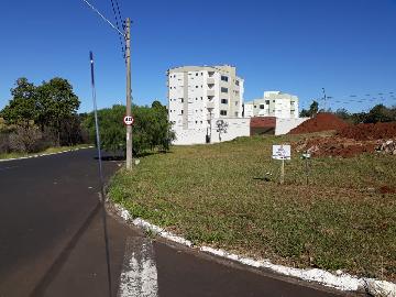 imagem 3 - Terreno - Em bairro imagem 3 - Terreno - Em bairro
