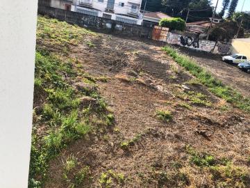 imagem 1 - Terreno - Em bairro imagem 1 - Terreno - Em bairro