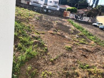 Alugar Terreno / Em bairro em Franca. apenas R$ 1.000.000,00