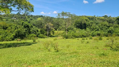 imagem 3 - Terreno - Chácara imagem 3 - Terreno - Chácara