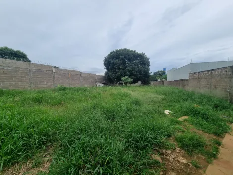imagem 2 - Terreno - Em bairro imagem 2 - Terreno - Em bairro