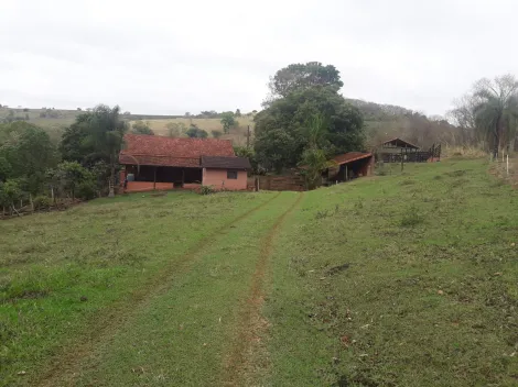 imagem 1 - Rural - Sítio imagem 1 - Rural - Sítio