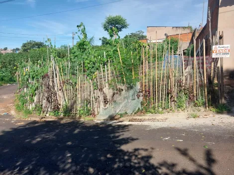 imagem 1 - Terreno - Em bairro imagem 1 - Terreno - Em bairro