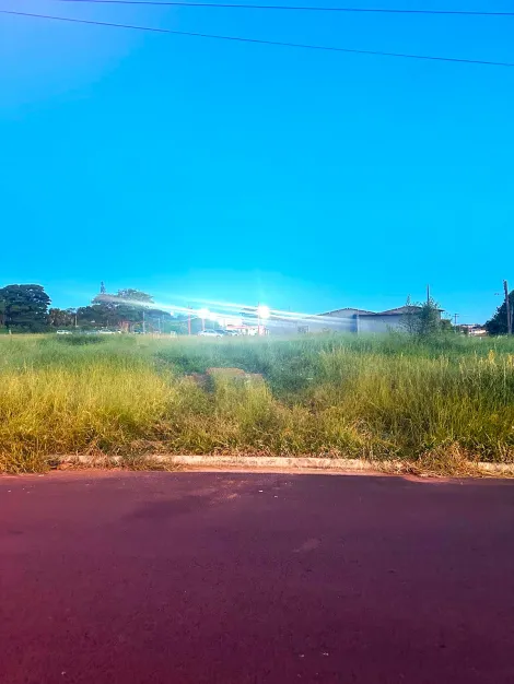 imagem 1 - Terreno - Em bairro imagem 1 - Terreno - Em bairro