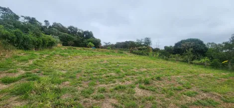 imagem 4 - Terreno - Em bairro imagem 4 - Terreno - Em bairro