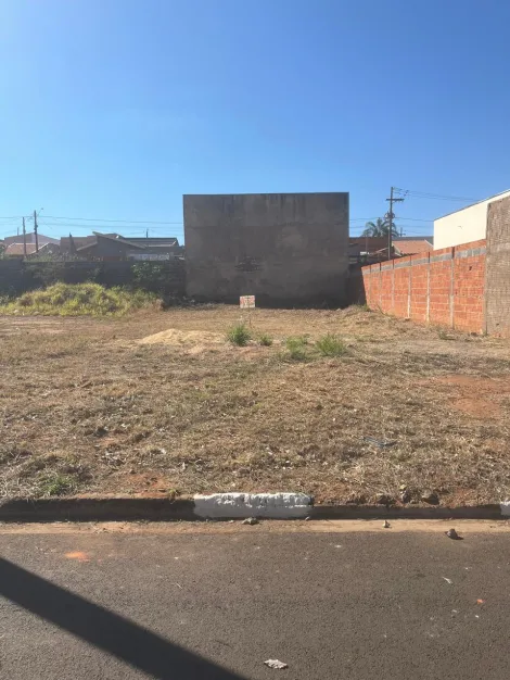 imagem 5 - VENDE-SE TERRENO EM RESTINGA NO BAIRRO ALTO DA BOA VISTA! imagem 5 - VENDE-SE TERRENO EM RESTINGA NO BAIRRO ALTO DA BOA VISTA!